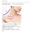 ReFa DOUBLE RAY 리파 더블레이