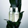 BOTANIST PREMIUM BOTANICAL SHAMPOO SILKY SMOOTH 300ml