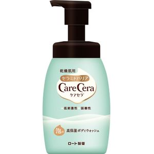 Yasushi Takashi moisture body wash of Rohto CareCera foam