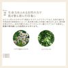 ETVOS Mineral Radiant Skin Balm 4.8g