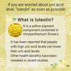 Luteolin Lowers Uric Acid Levels (60 Tablets)