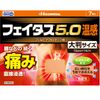 [第2类药品] Feitasu 5.0温热镇痛贴大张 7片