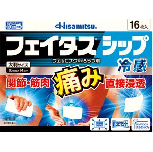 【第2類医薬品】フェイタスシップ冷感 16枚
