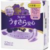 宝洁轻柔薄型女士专用，吸收力强，持久耐用，夜间安全使用，170cc，22 片