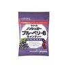 Sun Planet Sayaka Sugar-Free Blueberry B Candy, Sweet and Sour Blueberry Flavor, 55g
