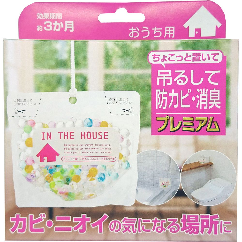 Big Bio Premium Mold Prevention & Deodorizer, Place or Hang, For Home Use, 160 g