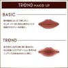 Excel Lip Velvetist LV06（苦味冻糕）