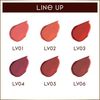 Excel Lip Velvetist LV05 (Wild Stone)