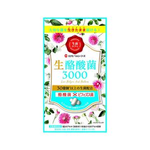 Minamiherushifuzu live butyric acid bacteria 3000 60 capsule