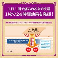 [제2류 의약품] 로이히 록소프로펜 대형 7매
