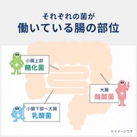 Bio Three Hi 片剂 270 片