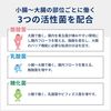 비오스리 H 36포