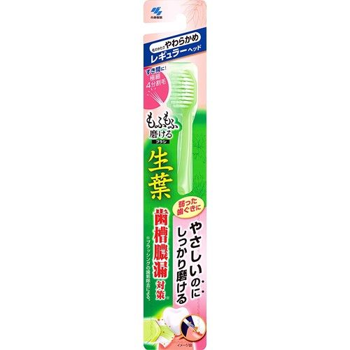 Shoyo Fluffy Clean Toothbrush, Regular Head, Soft, 1 Count