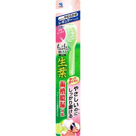 생엽 모후모후 부드럽게 닦이는 칫솔 레귤러 헤드 소프트 1개