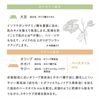 naturaglacé (ナチュラグラッセ)カラーコントロール ベース 02(ピンク) 25mL SPF32・PA++