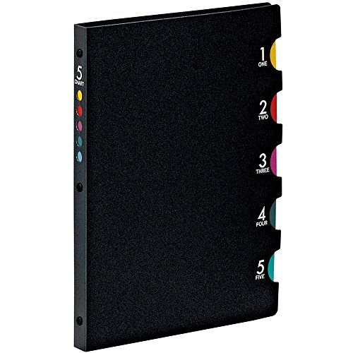 Maruman file notes Five chart F905 B5 26 hole black