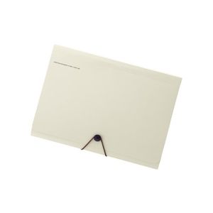 リヒトラブ キャリングドキュメント A7589-16 A4 ベージュ