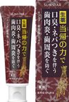 SUNSTAR Medicinal Salt Toothpaste [Spicy Mint] 85g [Quasi-Drug]