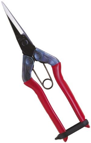 Chikamasa Bud Trimming Scissors T-550