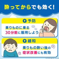 [Class 2 OTC Drug] Travelmin 6 Tablets