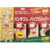 [第2类医药品] Vantelin Kowa 发热贴 12片