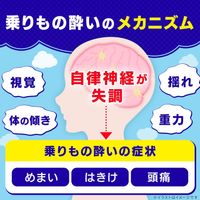 【Class 2 OTC Drug】Travelmin R 6 Tablets