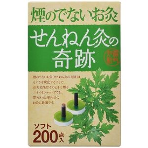 Miracle soft 200 points devoted moxibustion