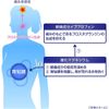 【指定第2類医薬品】イブクイック頭痛薬 40錠