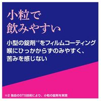 【指定第2類医薬品】イブA錠EX 40錠
