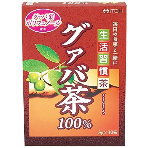 井藤漢方製薬 グァバ茶100%