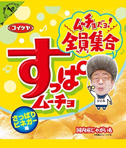 Koikeya Sour Mucho Chips, Refreshing Vinegar Flavor, 55g