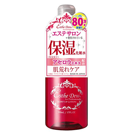 에스테듀 모이스트 업 로션 500ml