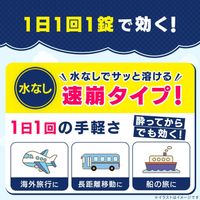 [Class 2 OTC Drug] Travelmin 1 (3 tablets)