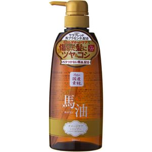 Ai Style Rishan Horse Oil Shampoo (600ml)