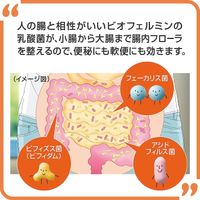 New Biofermin S (540 Tablets)