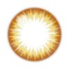 CALME D'OR1天V [卡乐康/1天/度是，否/ 20张]