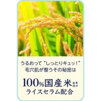 Keana Nadeshiko Pore Care Rice Masks (10 Sheets) - Ishizawa Laboratories