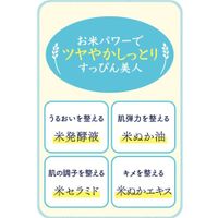 Keana Nadeshiko Pore Care Rice Masks (10 Sheets) - Ishizawa Laboratories
