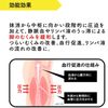 메디큐토 집에서 메디큐토 스판츠(1켤레)