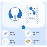 【제3류 의약품】용각산