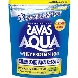 SAVAS 아쿠아 W 단백질 100G 과일