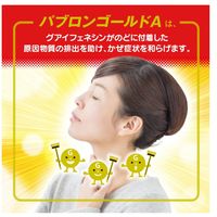 【指定第2類医薬品】大正製薬 パブロンゴールドA錠 210錠【□要確認】