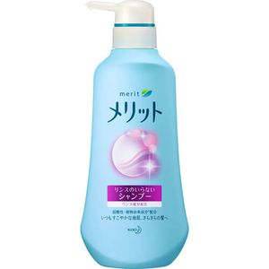 혜택 린스가 필요없는 샴푸 펌프 480ml