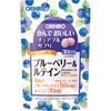 美味咀嚼補充劑藍莓和葉黃素 120 片