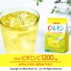 닛토 홍차 C&레몬 스틱 10개입