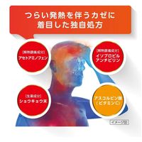 【지정 제2류의약품】 루루어택 FXa 12정【확인 필요】