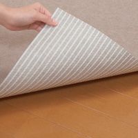SANKO Floor Protection Mat for Pets, 60 x 240 cm, Beige (KM-59)