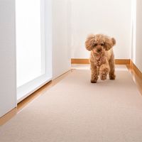 SANKO Floor Protection Mat for Pets, 60 x 240 cm, Beige (KM-59)