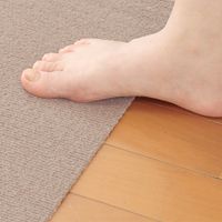 SANKO Floor Protection Mat for Pets, 60 x 240 cm, Beige (KM-59)