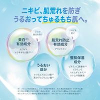 로토제약 하다라보 시로쥰 약용 미백 화장수 170ml